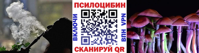 Галлюциногенные грибы GOLDEN TEACHER  Салаир 